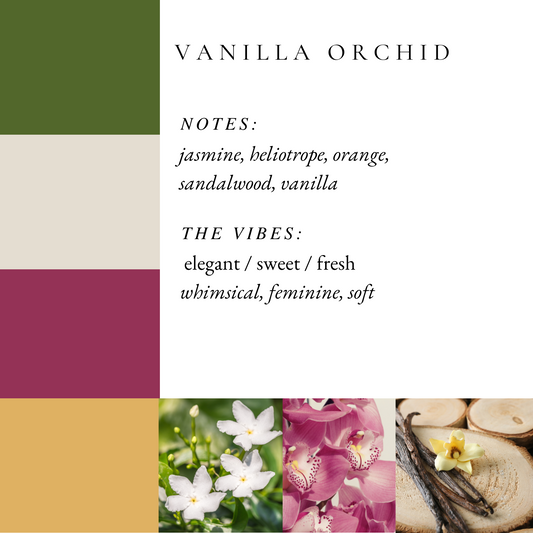 NEW Vanilla Orchid